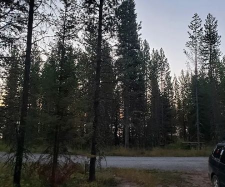 Spring Creek Campground