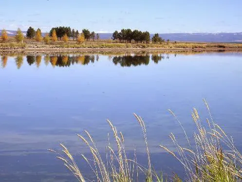 Yellowstone Holiday RV Campground Picture 2