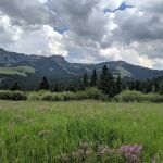 Tom Miner Campground