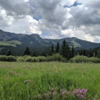 Tom Miner Campground ico