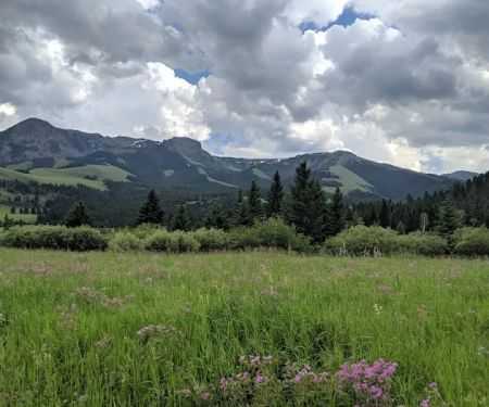 Tom Miner Campground
