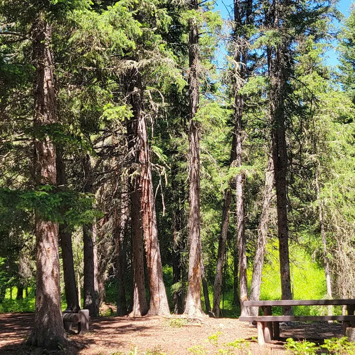 Tom Miner Campground Picture 3