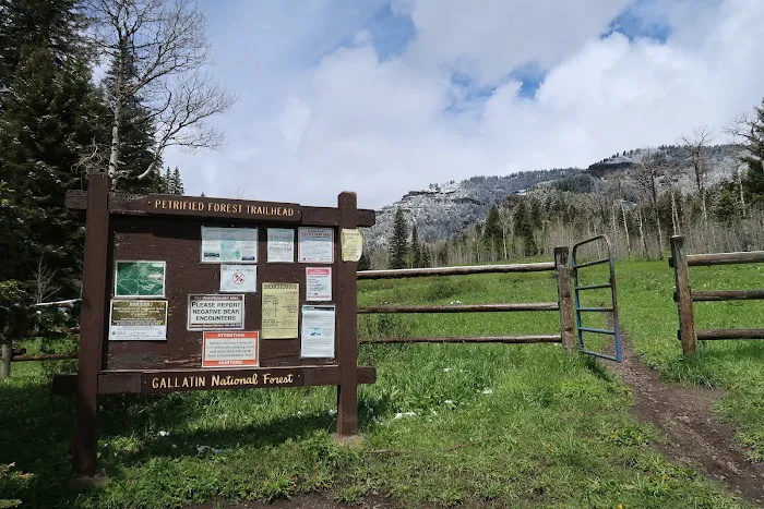 Tom Miner Campground Picture 2