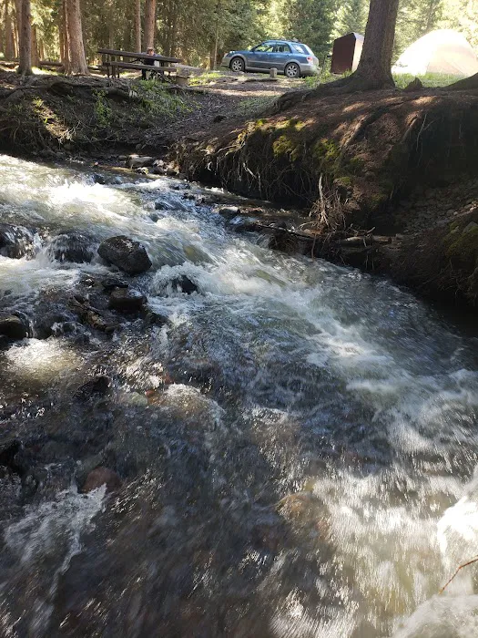 Tom Miner Campground Picture 4