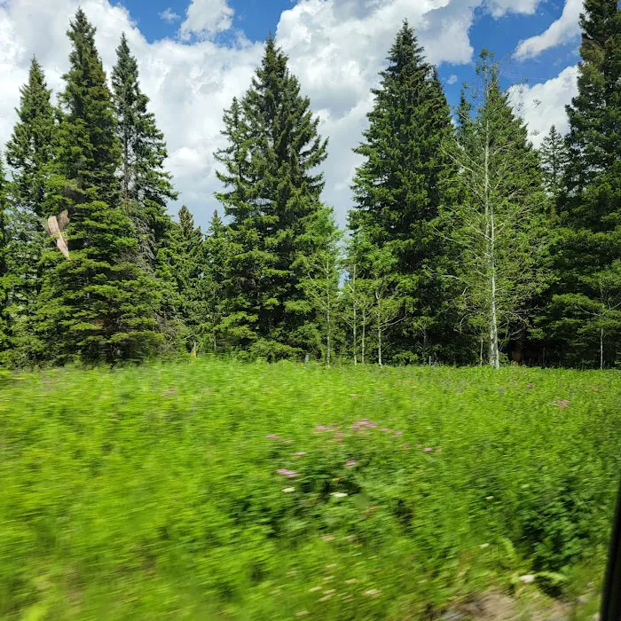 Tom Miner Campground Picture 9