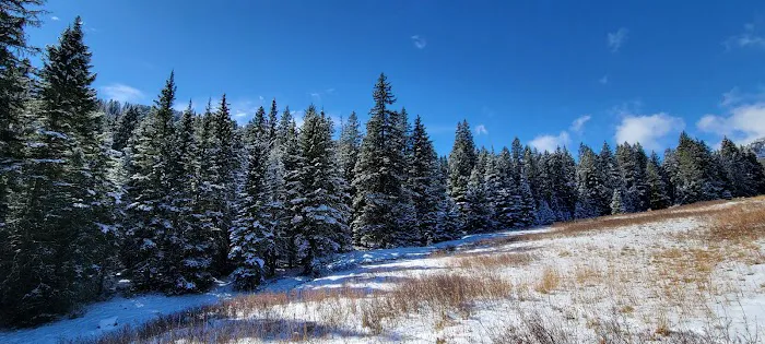 Tom Miner Campground Picture 7