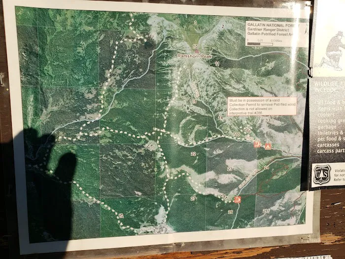 Tom Miner Campground Picture 10