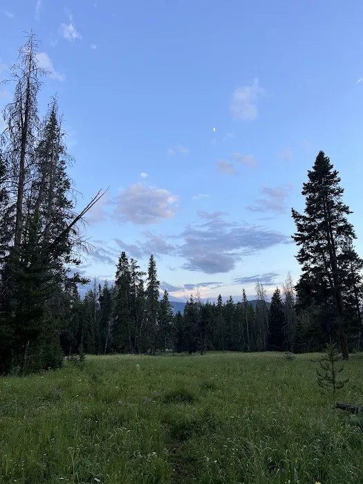 Upper Dailey Creek WF2 Picture 1