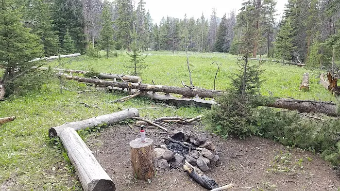 Upper Dailey Creek WF2 Picture 3