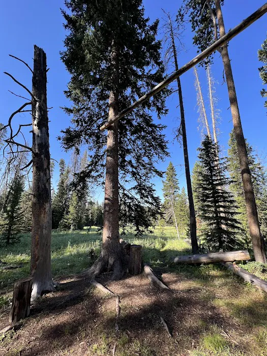 Upper Dailey Creek WF2 Picture 2
