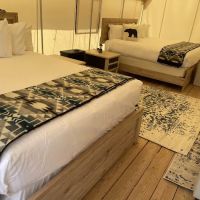 Yellowstone Dreamin Camp ico