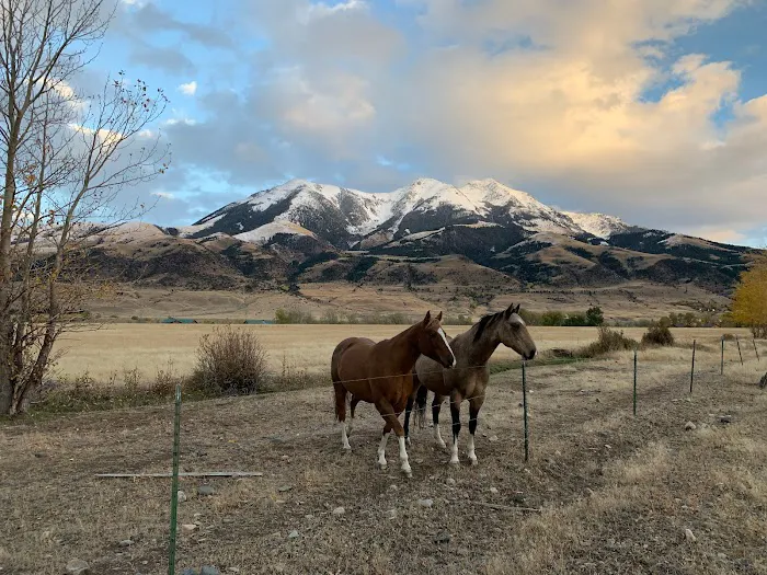 Yellowstone Dreamin Camp Picture 9