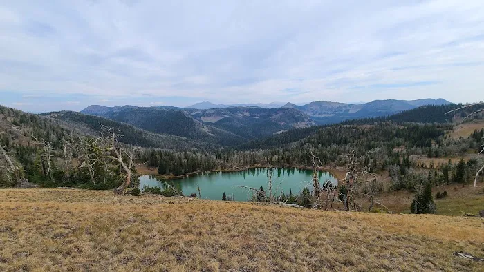 Shelf Lake WE5 Picture 6