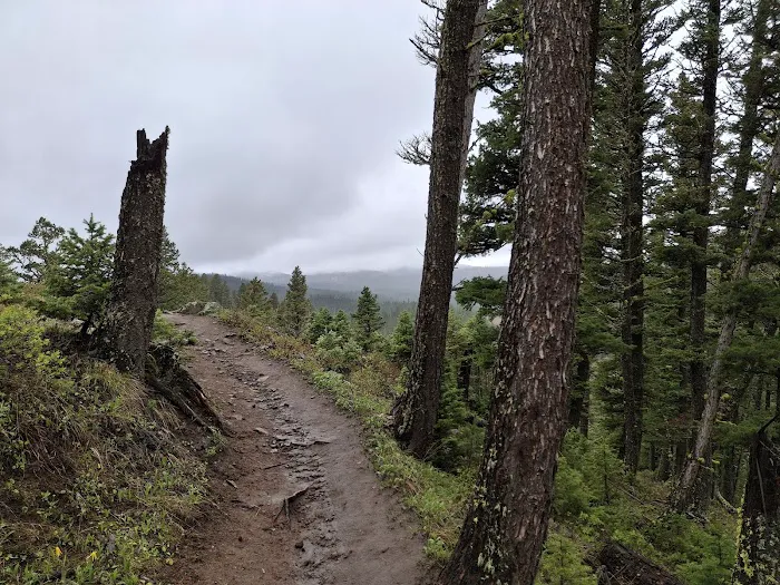 Brackett Creek Trailhead Picture 1
