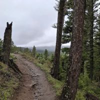 Brackett Creek Trailhead ico