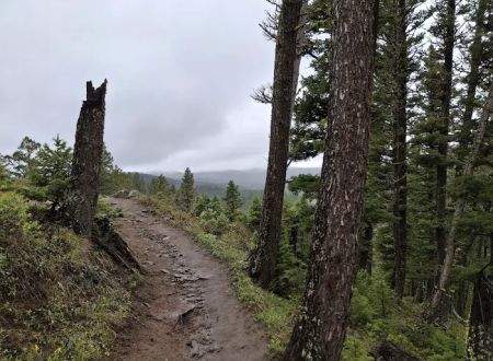 Brackett Creek Trailhead