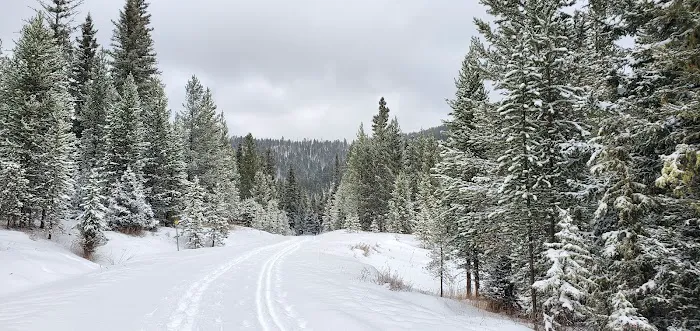 Brackett Creek Trailhead Picture 5