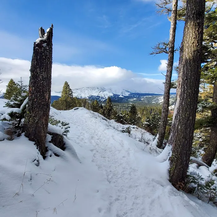 Brackett Creek Trailhead Picture 3