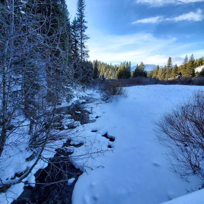 Brackett Creek Trailhead Picture 8