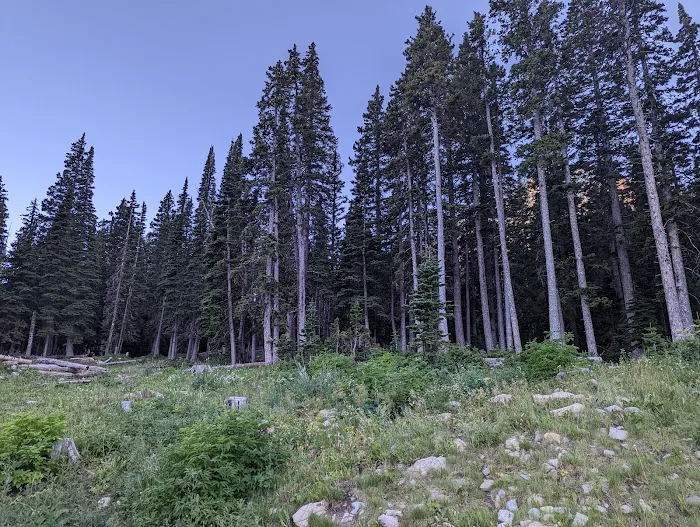 Fairy Lake Campground Picture 2