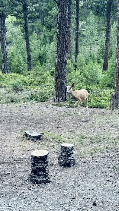 Kings Hill Campground Picture 4