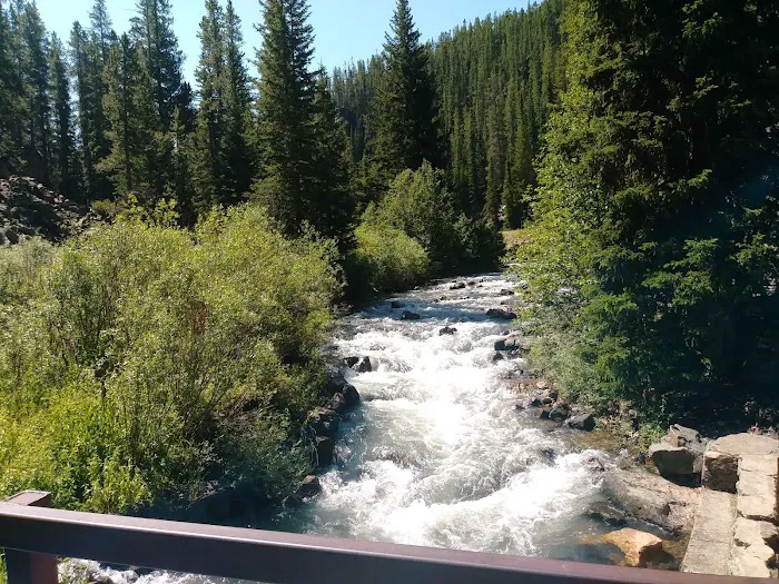 Many Pines Campground Picture 2