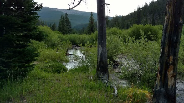 Many Pines Campground Picture 5