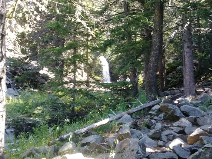 Many Pines Campground Picture 6