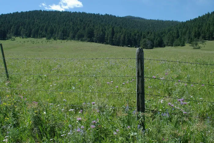 Dry Wolf Campground Picture 1