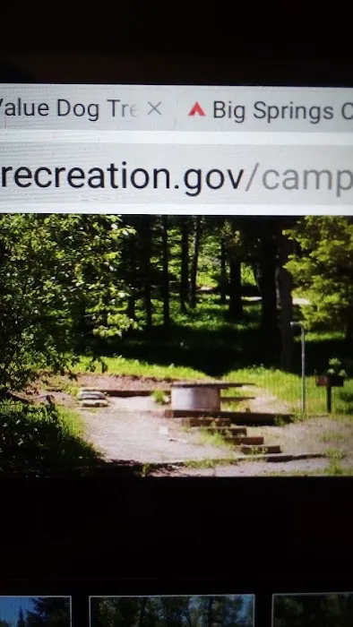 Caribou Campground Picture 4