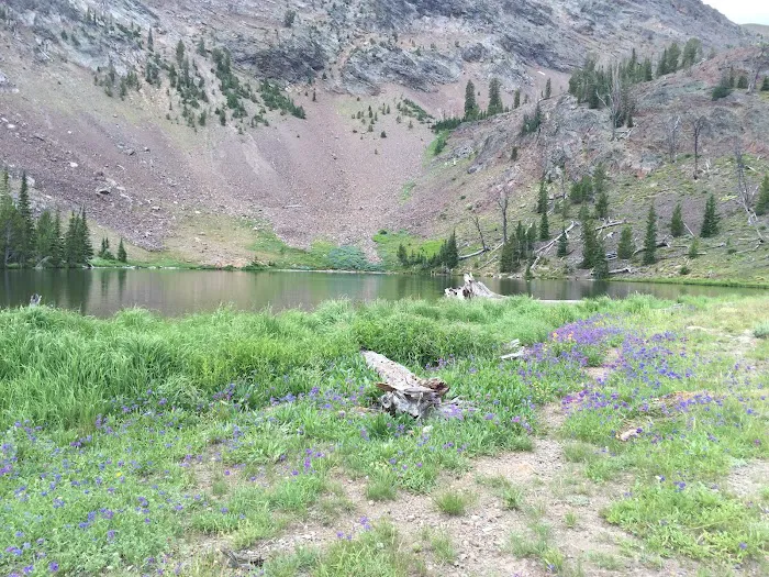 Phi Kappa Campground Picture 4