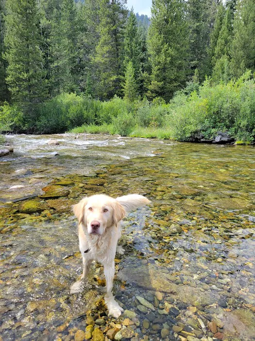 Murdock Campground Picture 5