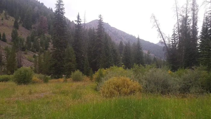 Park Creek Campground Picture 7