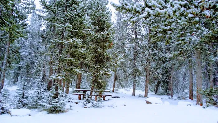 Park Creek Campground Picture 8