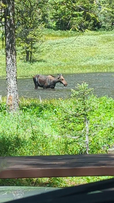 Park Creek Campground Picture 9