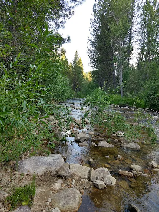 Creekside Campground Idaho City Picture 3