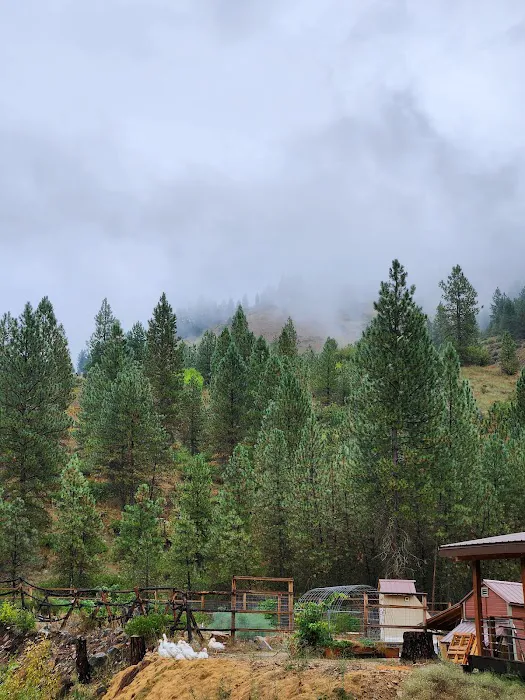 Creekside Campground Idaho City Picture 10