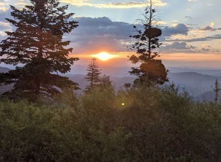 Shafer Butte Campground & Picnic Areas