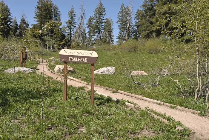 Shafer Butte Campground & Picnic Areas Picture 4