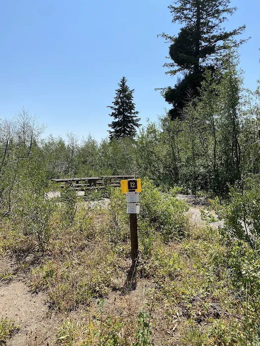 Shafer Butte Campground & Picnic Areas Picture 8