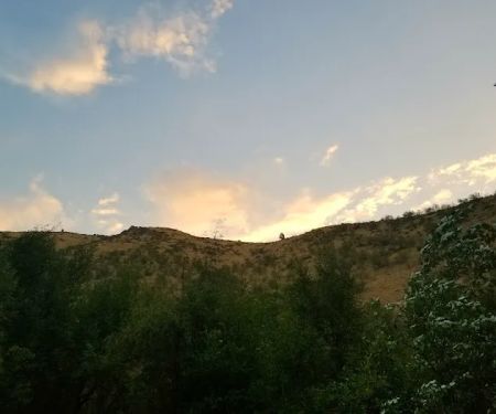 Cottonwood Campground