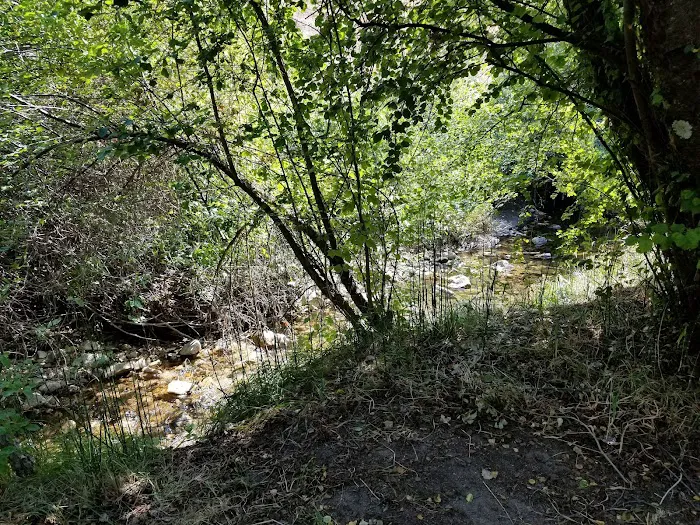 Cottonwood Campground Picture 6