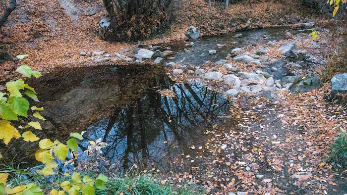 Cottonwood Campground Picture 4