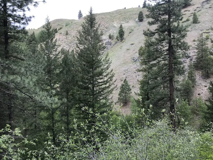 Cottonwood Campground Picture 10