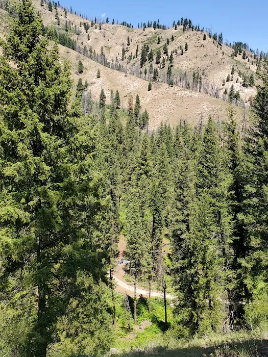 Dog Creek Campground Picture 2