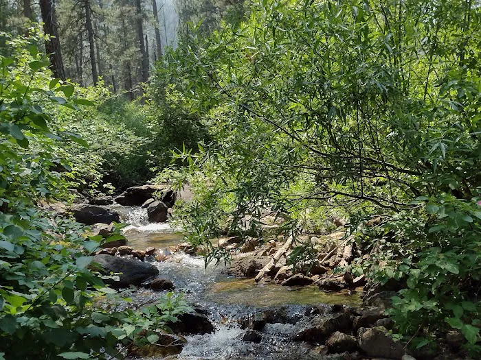 Dog Creek Campground Picture 3