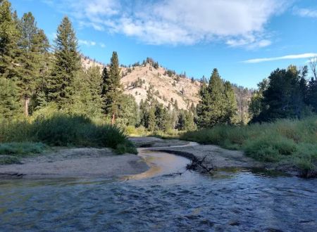 Dog Creek Campground