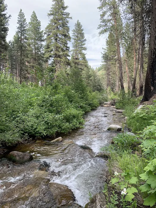 Dog Creek Campground Picture 10