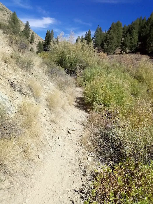 Lime Creek Campground Picture 3