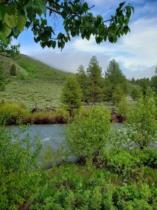 Canyon Campground Picture 1
